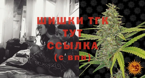 индика Вязьма