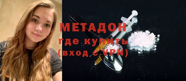 индика Вязьма