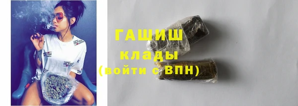 индика Вязьма