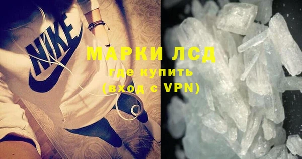индика Вязьма