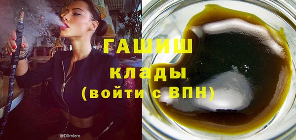 индика Вязьма