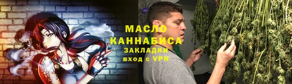 индика Вязьма