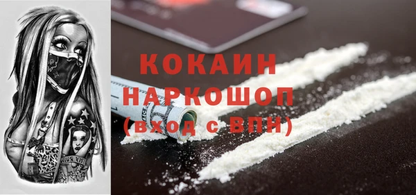 индика Вязьма