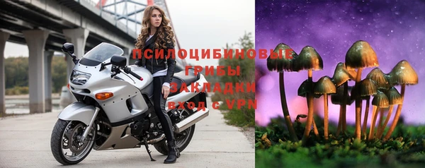 индика Вязьма