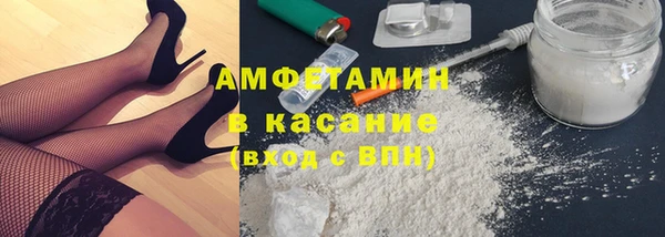 индика Вязьма